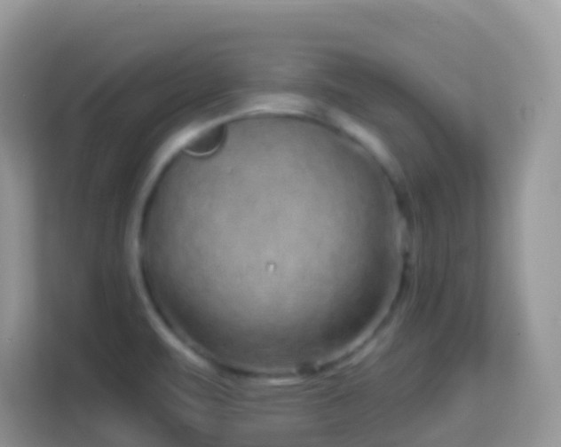 X0000114201471200910091243