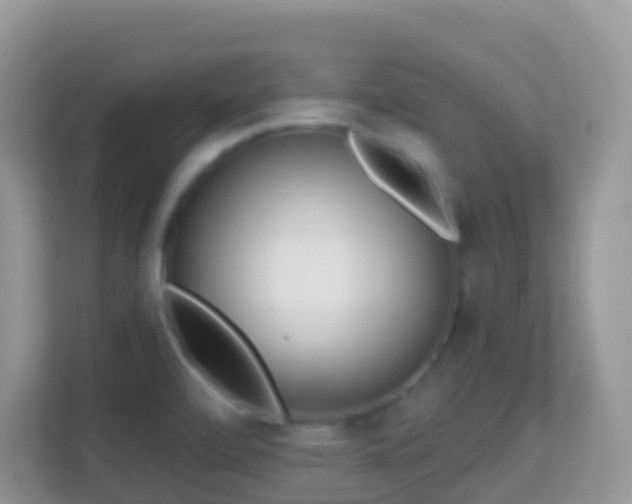 X0000114201472200910091243