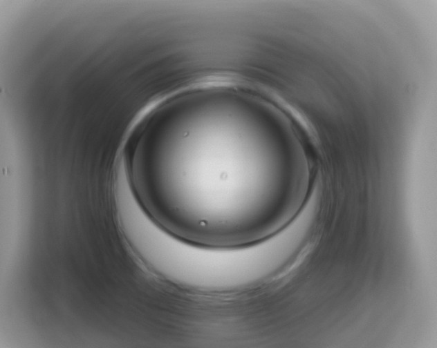 X0000114201473200910091243