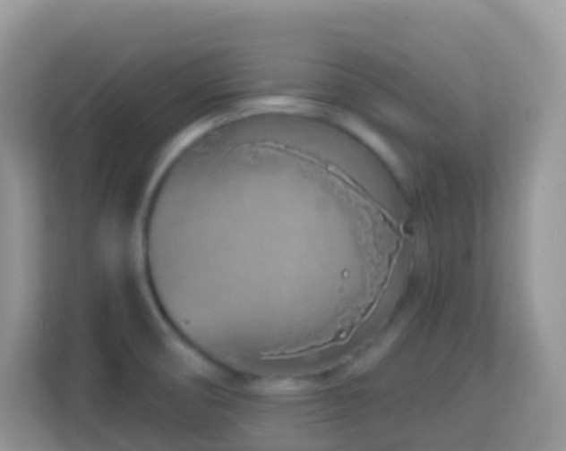 X0000114201474200910091243