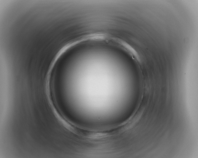 X0000114201475200910091242