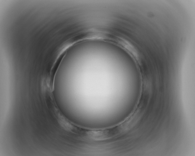 X0000114201481200910091242