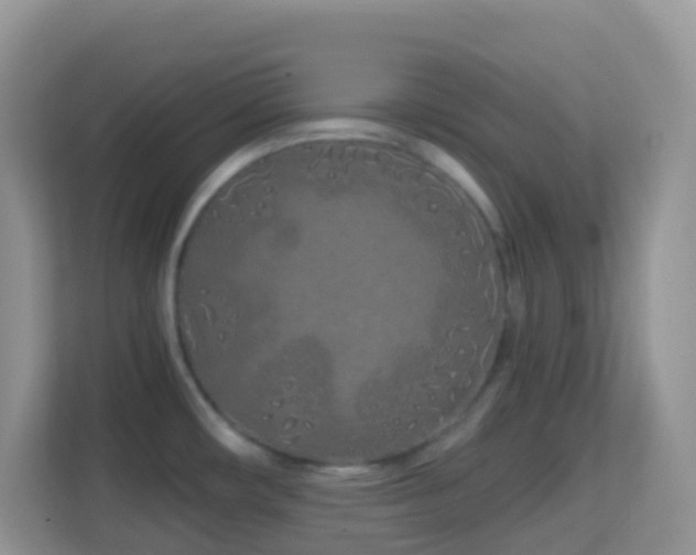 X0000114201482200910091242