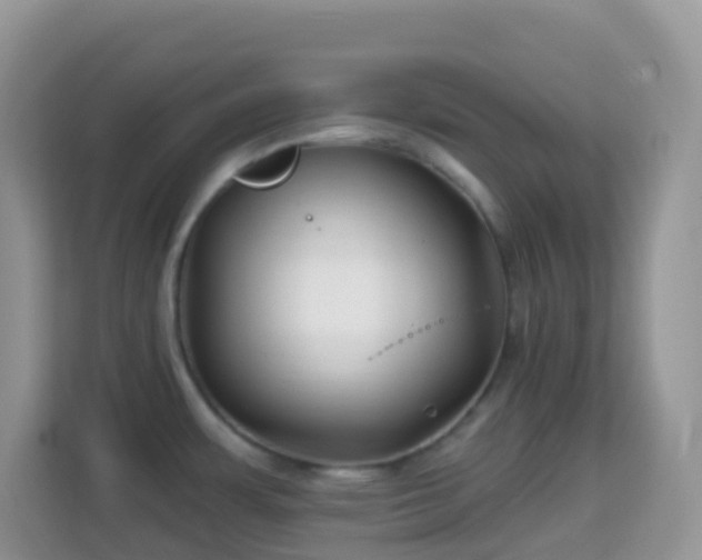 X0000114201483200910091242