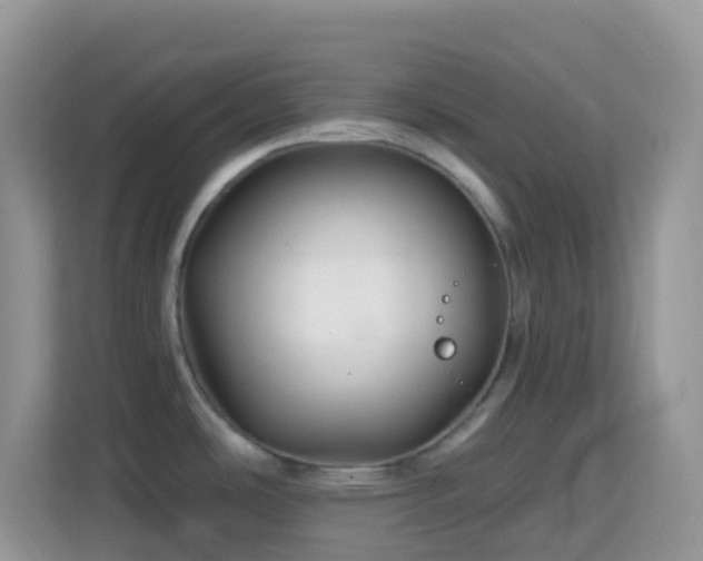 X0000114201486200910091242