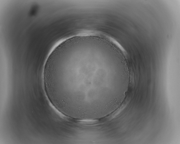 X0000114201487200910091242