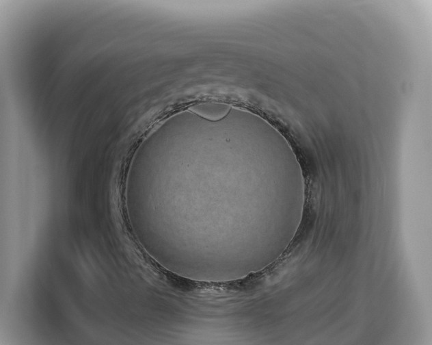 X0000114201489200910091242