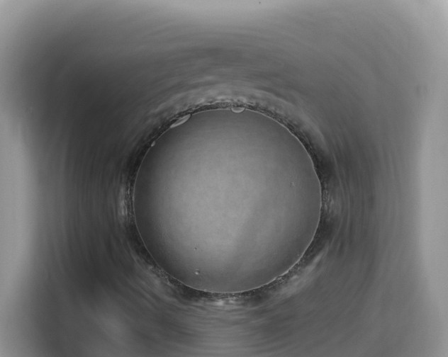 X0000114201490200910091242