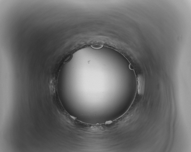 X0000114201491200910091242