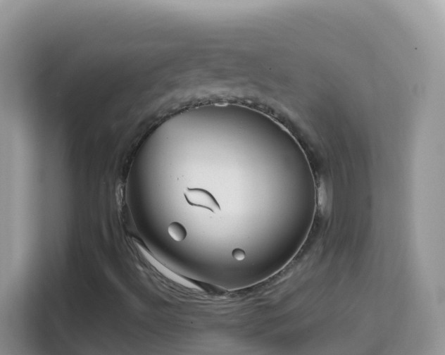 X0000114201492200910091242