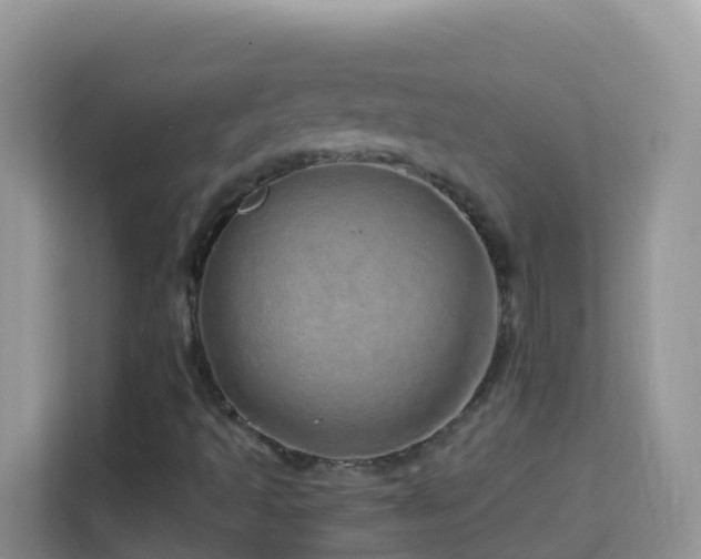 X0000114201493200910091242