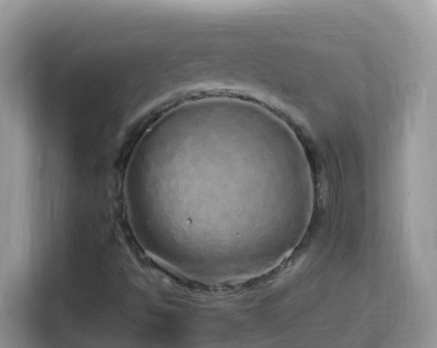 X0000114201494200910091242