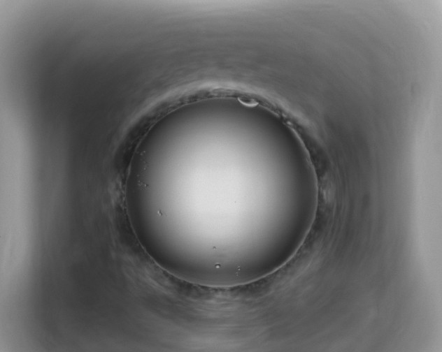 X0000114201495200910091242