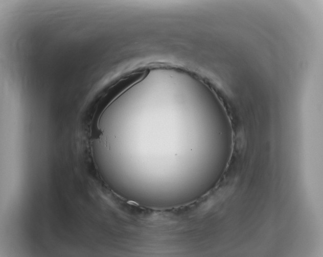 X0000114201496200910091242