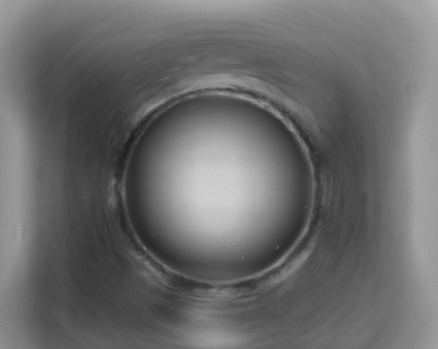 X0000114201497200910091242
