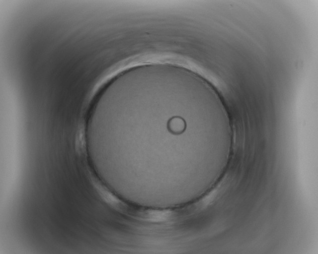 X0000114201498200910091242