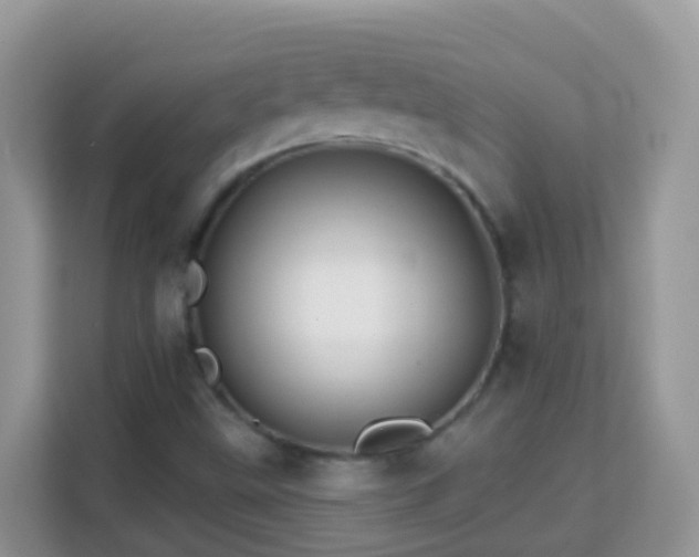 X0000114201499200910091242