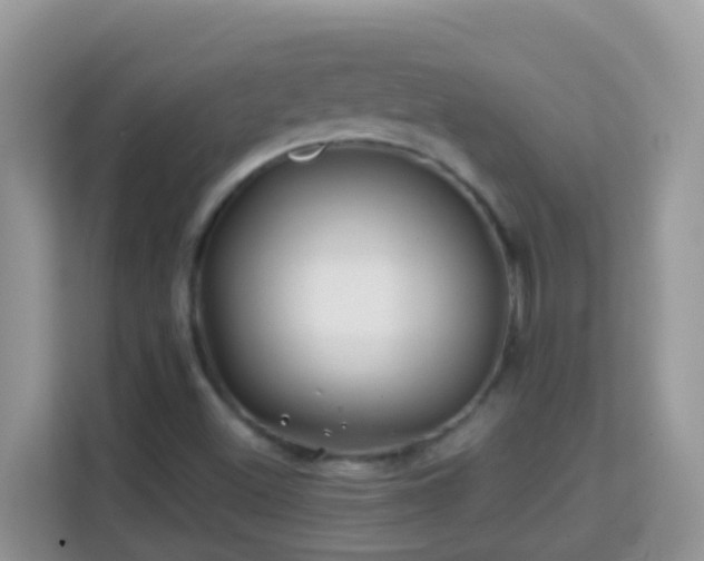 X0000114201500200910091242