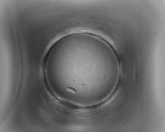 X0000114201501200910091242