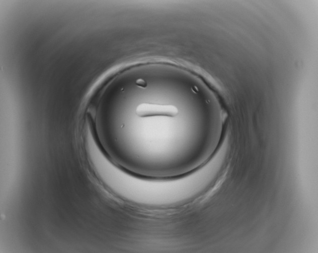 X0000114201502200910091242