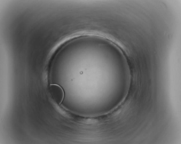 X0000114201503200910091242