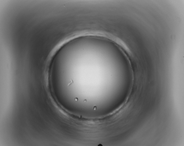 X0000114201504200910091242