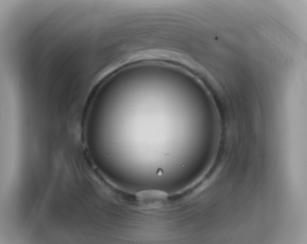 X0000114201505200910091242