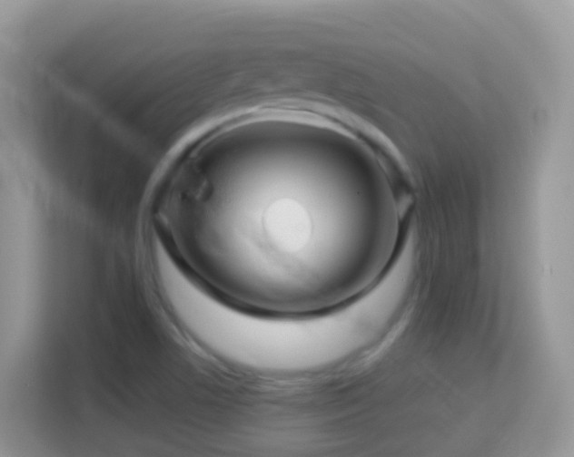 X0000114201506200910091242