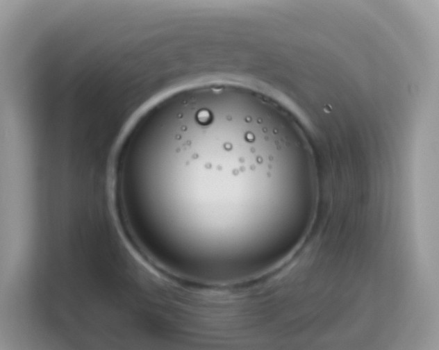 X0000114201508200910091242
