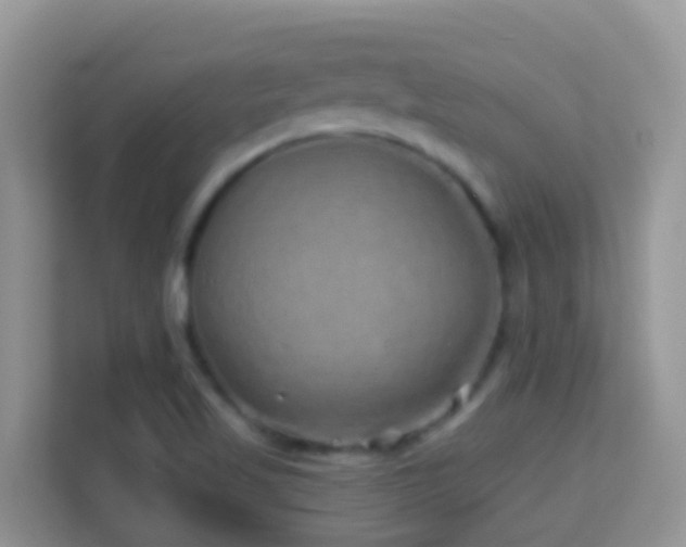 X0000114201509200910091242