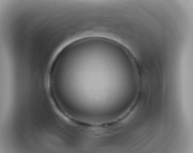X0000114201511200910091242
