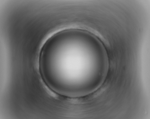 X0000114201512200910091242