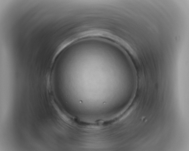 X0000114201513200910091242