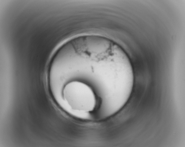 X0000114201514200910091242