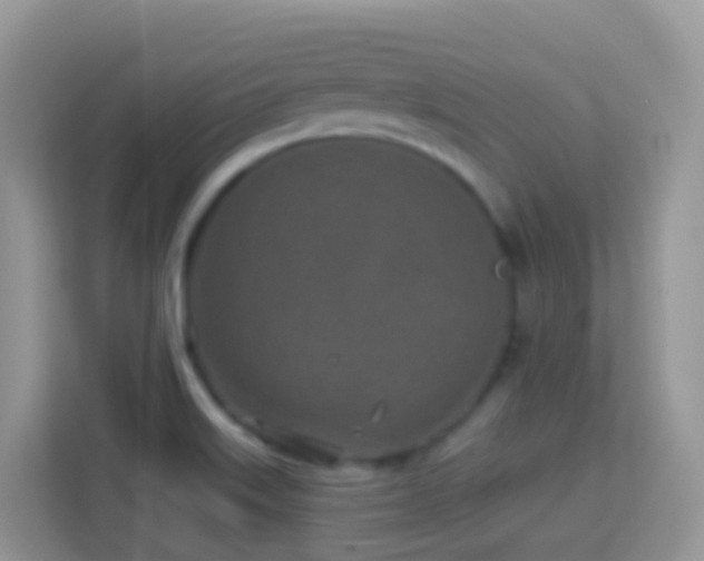 X0000114201515200910091242