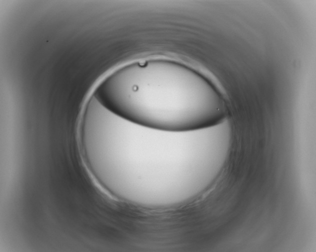 X0000114201516200910091242