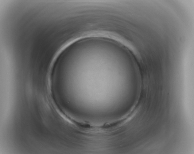X0000114201517200910091242