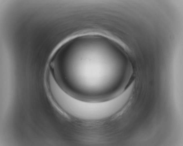 X0000114201518200910091242