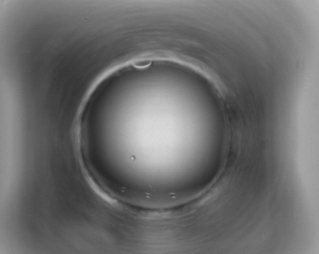 X0000114201519200910091242