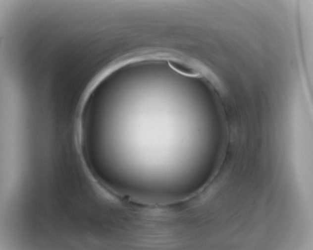 X0000114201520200910091242
