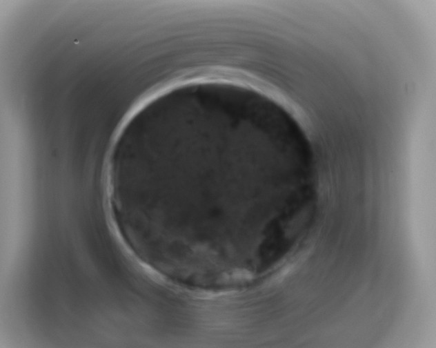 X0000114201522200910091242