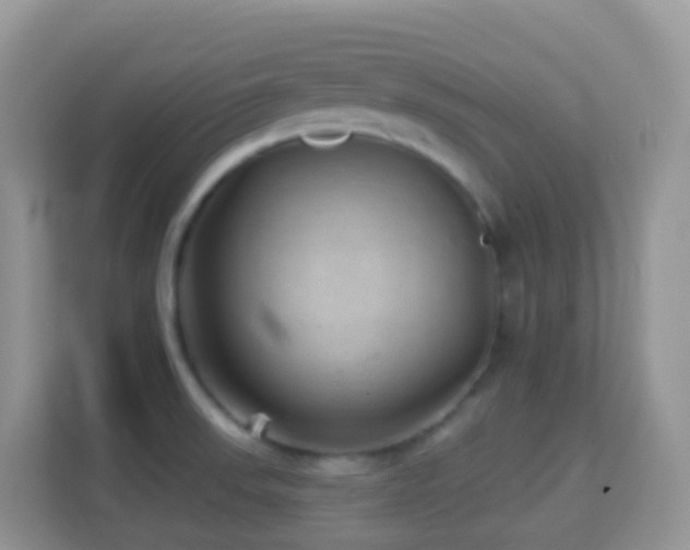 X0000114201523200910091242