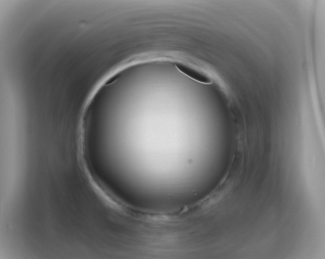 X0000114201524200910091242