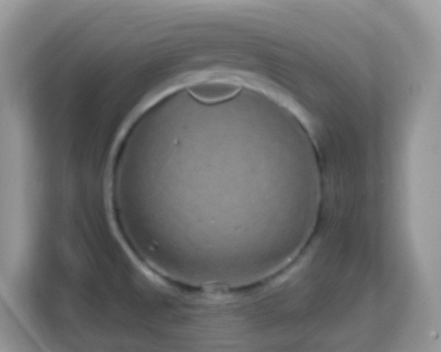 X0000114201525200910091242