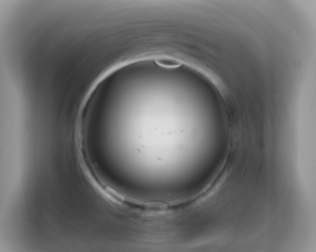 X0000114201526200910091242