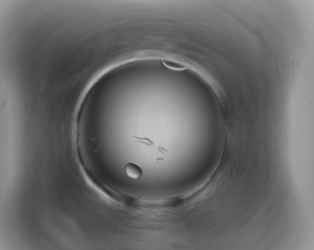 X0000114201527200910091242
