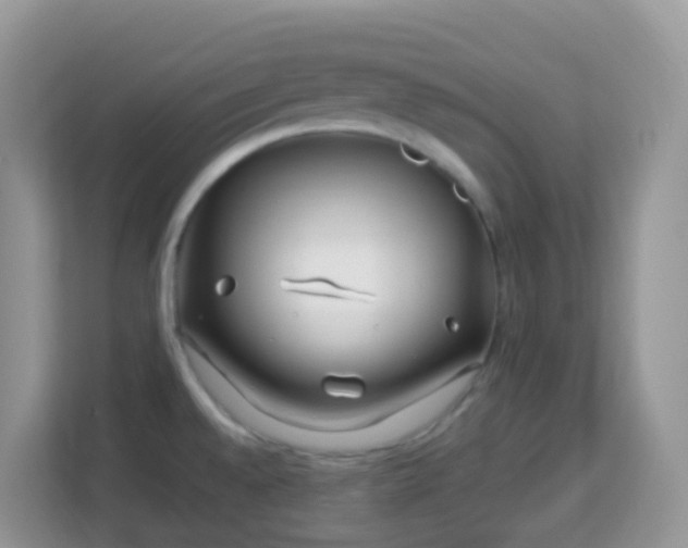 X0000114201528200910091242