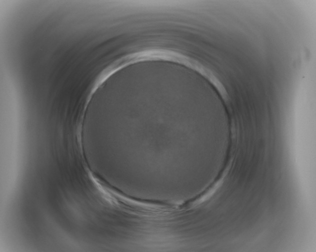 X0000114201529200910091242