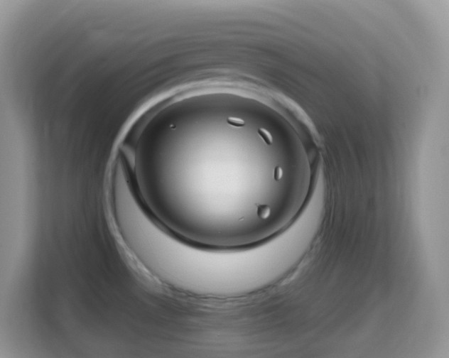 X0000114201530200910091242
