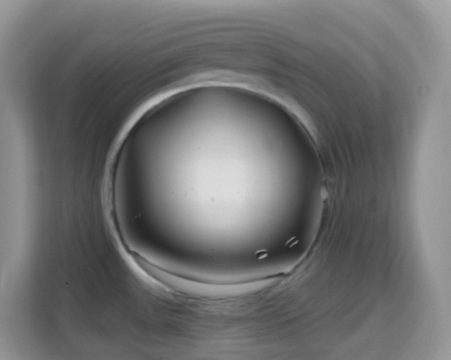 X0000114201531200910091242